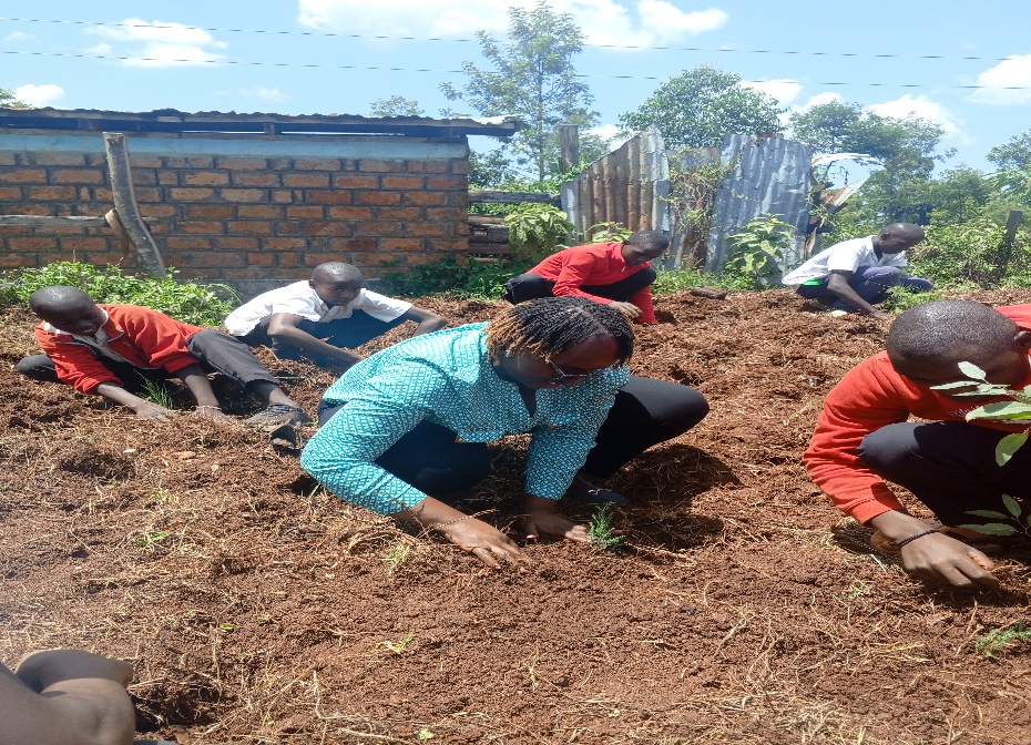 Kisii University’s Bold Stand for Environmental Sustainability